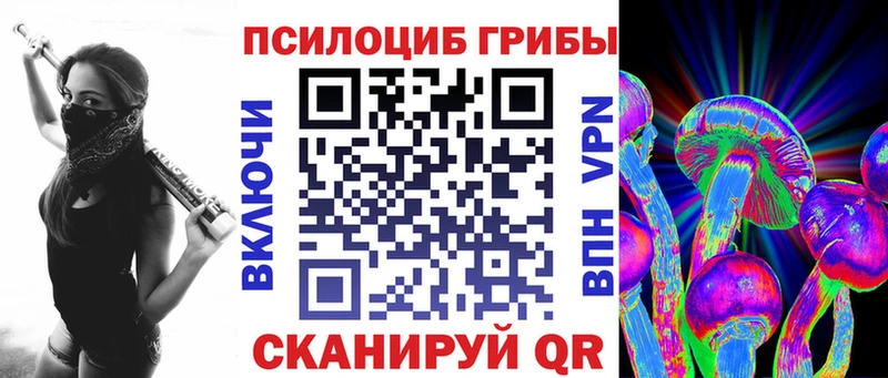 где найти наркотики  Курлово  Псилоцибиновые грибы Psilocybine cubensis 